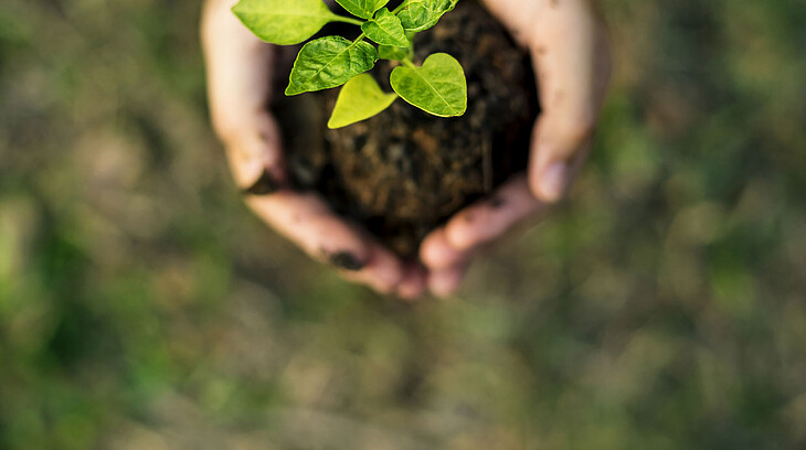 sustainability